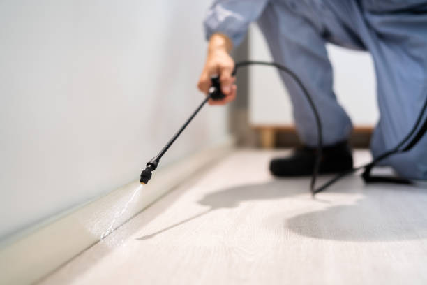 Licensed Fumigation Services service in Platte County County, NE - Nex Pest Control